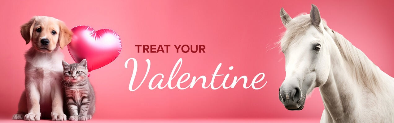 Treat Your Valentine